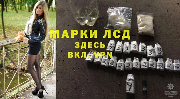 мяу мяу мука Алзамай